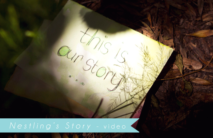 Nestling’s Story – Video